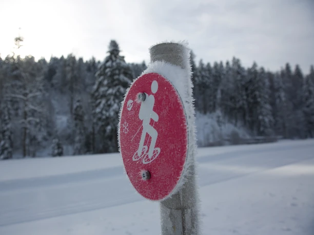 Geführte Schneeschuhwanderung Baiersbronn Touristik Verschneiter Schwarzwald