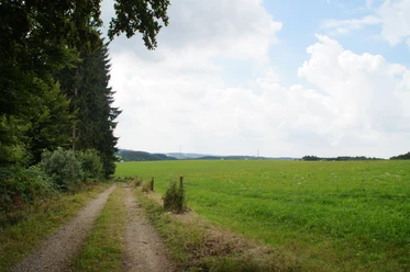Wipperfürth Weg durch grüne Wiesen, gesäumt von Bäumen, unter einem teils bewölkten Himmel in ländlicher Umgebung.