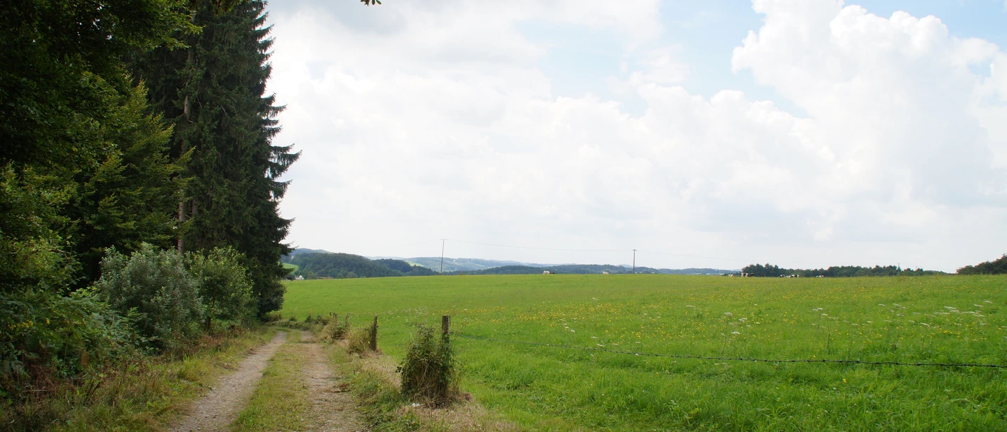 Wipperfürth Weg durch grüne Wiesen, gesäumt von Bäumen, unter einem teils bewölkten Himmel in ländlicher Umgebung.