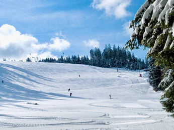 Skilifte Kaltenbronn Skigebiet Skilifte Kaltenbronn Skigebiet