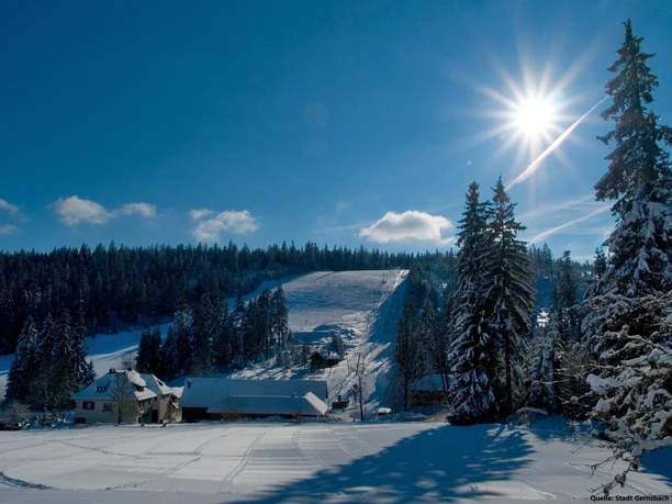 Skilifte Kaltenbronn Tagesskipass Skilifte Kaltenbronn Tagesskipass