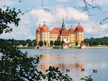 Schloss Moritzburg Barockschloss Moritzburg mit vier Türmen und umgebendem See, Enten schwimmen im Vordergrund.Baroque Moritzburg Castle with four towers and surrounding lake, ducks swimming in the foreground.Barokní zámek Moritzburg se čtyřmi věžemi a okolním jezerem, v popředí plavou kachny.Barokowy zamek Moritzburg z czterema wieżami i otaczającym jeziorem, kaczki pływające na pierwszym planie.Barok kasteel Moritzburg met vier torens en omliggend meer, eenden zwemmen op de voorgrond.Castello barocco di Moritzburg con quattro torri e lago circostante, anatre che nuotano in primo piano.