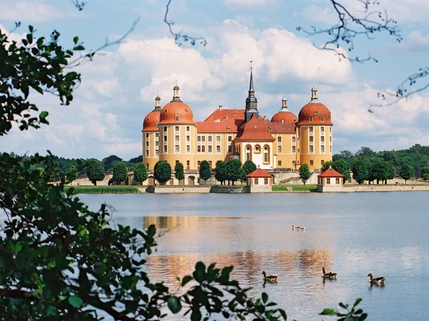 Schloss Moritzburg Barockschloss Moritzburg mit vier Türmen und umgebendem See, Enten schwimmen im Vordergrund.