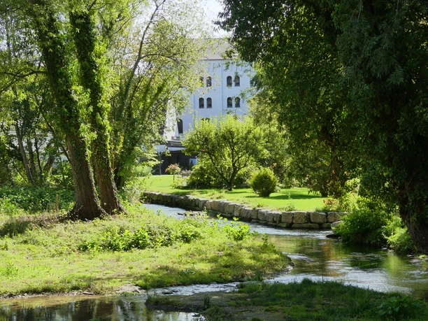 Grüne Parklandschaft mit Bach, umgeben von Bäumen, im Hintergrund ein weißes Gebäude.