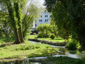 Mittleres Paderquellgebiet Grüne Parklandschaft mit Bach, umgeben von Bäumen, im Hintergrund ein weißes Gebäude.