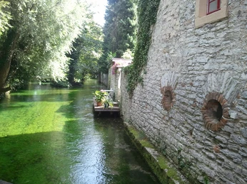 Klares Wasser fließt entlang einer mit Efeu bewachsenen Natursteinmauer, umgeben von üppigem Grün.