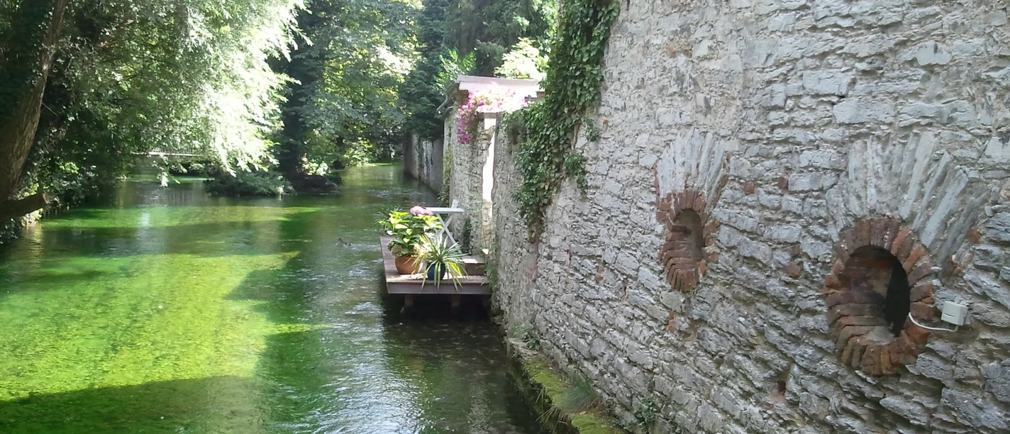 Pader an der Stümpelschen Mühle Klares Wasser fließt entlang einer mit Efeu bewachsenen Natursteinmauer, umgeben von üppigem Grün.