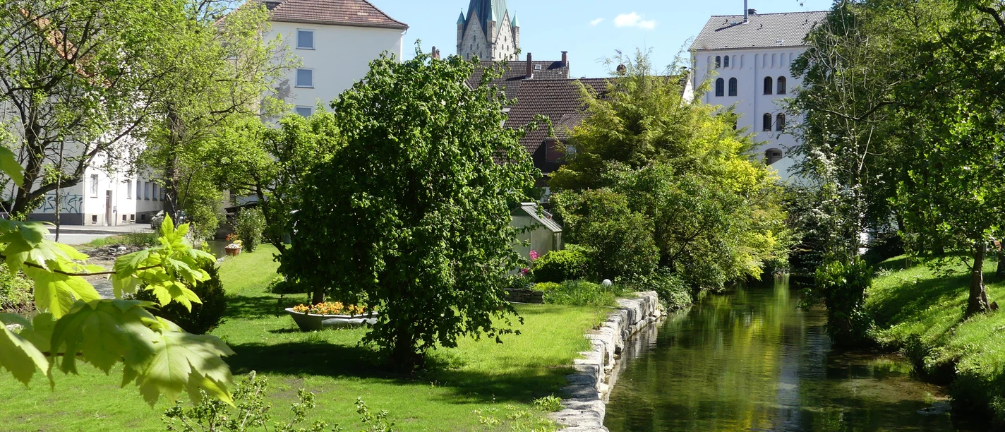 Mittleres Paderquellgebiet Flusslauf im grünen Park, umgeben von Bäumen und historischen Gebäuden mit Kirchturm im Hintergrund.