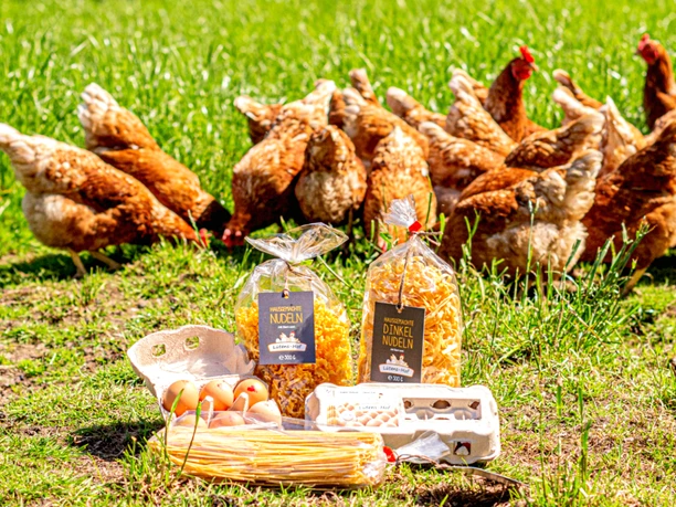 Hühner auf Lütens-Hof in Hemsbünde Hühner auf Lütens-Hof in Hemsbünde