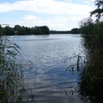 Werresiek©Margarete Wißmann.JPG Ruhiger See mit bewachsenen Ufern und einem von Bäumen gesäumten Horizont unter bewölktem Himmel.