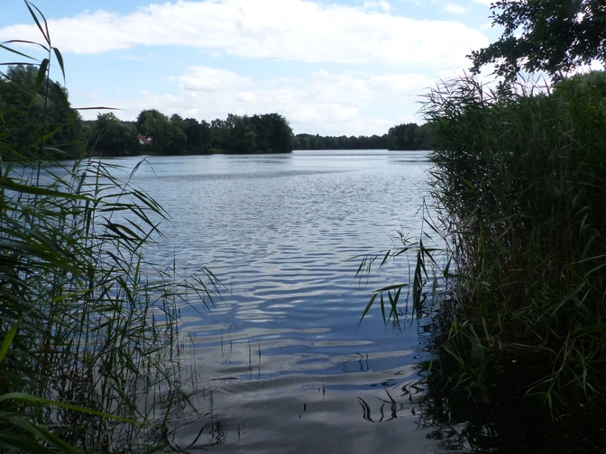 Werresiek©Margarete Wißmann.JPG Ruhiger See mit bewachsenen Ufern und einem von Bäumen gesäumten Horizont unter bewölktem Himmel.