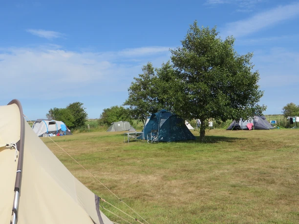 Campingplatz Aggen_3.JPG Ein idyllischer Campingplatz mit grüner Wiese, Bäumen und mehreren Zelten unter blauem Himmel.