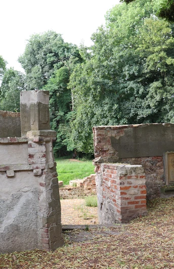 Ellerburg Ruinen der historischen Ellerburg mit verbliebenen Mauerresten, umgeben von dichtem Baumbestand.
