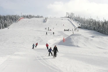 Skilift Seibelseckle Skipiste
