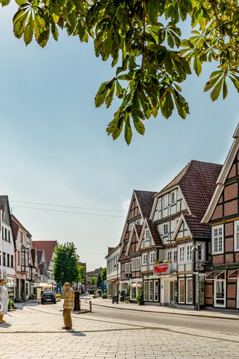 Historische Fachwerkhäuser säumen eine sonnige Straße in einer charmanten deutschen Altstadt.