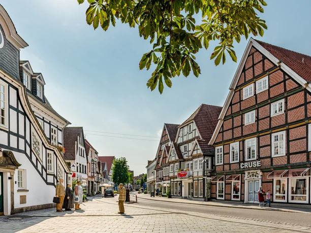 Rietberg-Rathausstr-prowiGT-Wallenfang.jpg Historische Fachwerkhäuser säumen eine sonnige Straße in einer charmanten deutschen Altstadt.