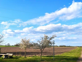 Blühende Bäume vor weitem Ackerland, ein Rastplatz mit Holzbänken, unter blauem Himmel und Wolken.