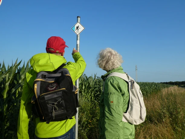 Twee wandelaars op het platteland kijken naar een bord aan de rand van het pad, omringd door hoge maïsplanten.