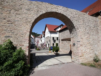 143HR - Bad Orb - Stadtmauer.JPG