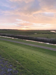 Ein grüner Deich erstreckt sich unter einem dramatischen Abendhimmel, beleuchtet von einem warmen Sonnenuntergang.A green dike stretches under a dramatic evening sky, illuminated by a warm sunset.