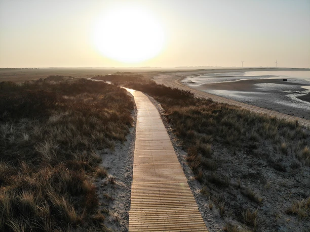 Ein hölzerner Steg führt durch eine Dünenlandschaft in Richtung eines sanft aufgehenden Sonnenaufgangs.A wooden walkway leads through a dune landscape towards a gently rising sunrise.