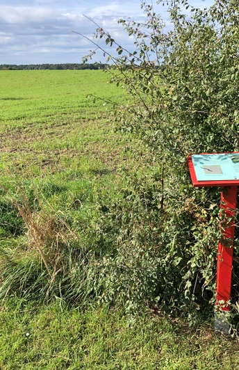 Eine rote Informationstafel steht am Feldrand, umgeben von Büschen und grüner Wiesenlandschaft.