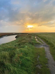 Hooge Hörn Weg Grüne Dünen mit großem Priel. Durch die Wolken scheint die aufgehende Sonne durch.