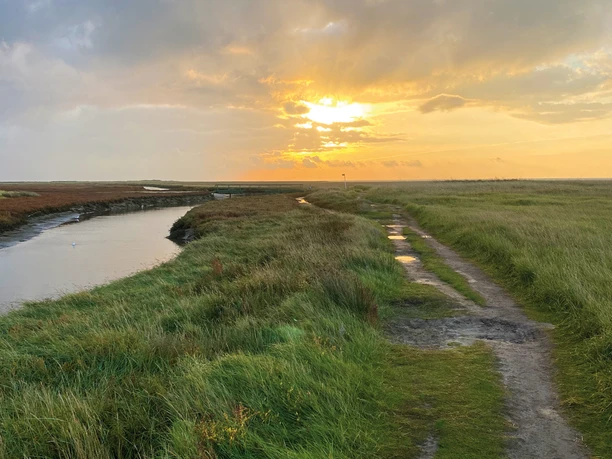 Hooge Hörn Weg Grüne Dünen mit großem Priel. Durch die Wolken scheint die aufgehende Sonne durch.