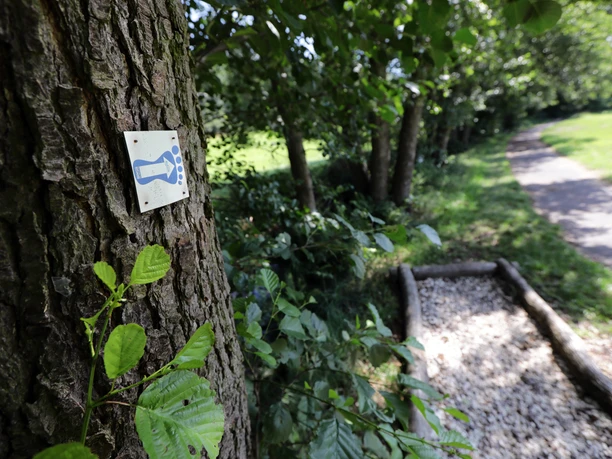 028HR - Bad Orb - Barfußpfad.JPG