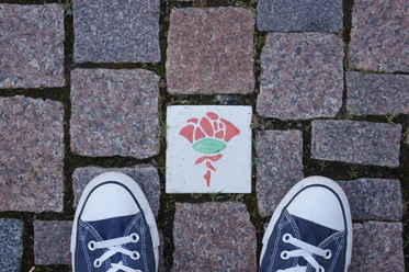 Hildesheimer Rosenroute