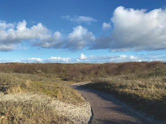 Ein gepflasterter Weg schlängelt sich sanft durch eine karge Dünenlandschaft unter blauem Himmel mit vereinzelten Wolken.A paved path gently winds through a barren dune landscape under a blue sky with scattered clouds.