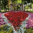 006HR - Bad Orb - Kurpark Blumenbeet.JPG