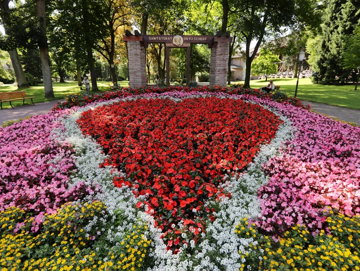 006HR - Bad Orb - Kurpark Blumenbeet.JPG