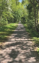 Ein schmaler Pfad führt durch einen dichten, grünen Wald, der von Sonnenlicht durchflutet ist.