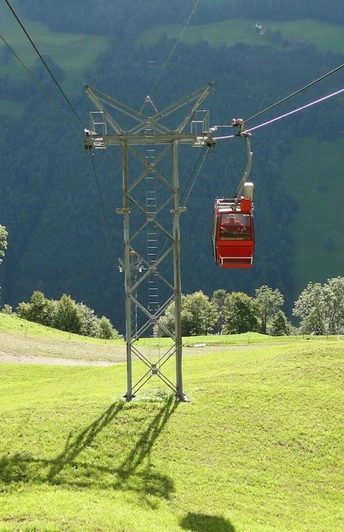 Diegisbalm1 1.a76ef047d8d24c03823acdf41c4ee7c8.jpg