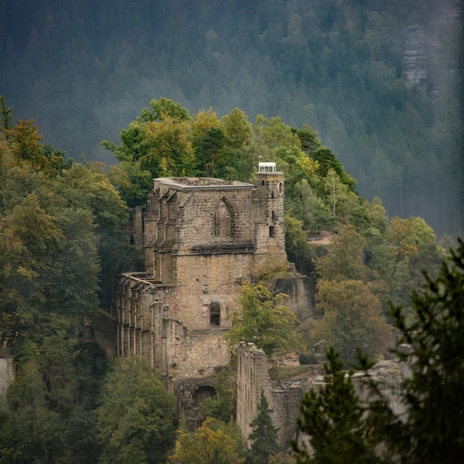 Punkt4_Oybin_Bergkloster_Nebel_Herbst_S.RoseFotografie.jpg