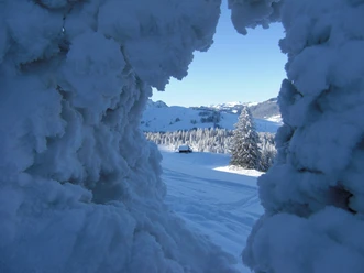 Winterlandschaft