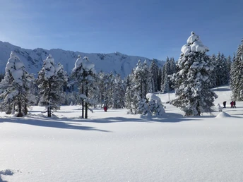 Verschneite Moorlandschaft zwischen Rossweid und Salwideli