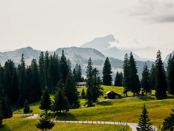 Über den Glaubenbielenpass auf der der Panoramastrasse von Sörenberg nach Giswil.