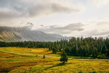 Der Wanderweg vorbei am Türndlimoos