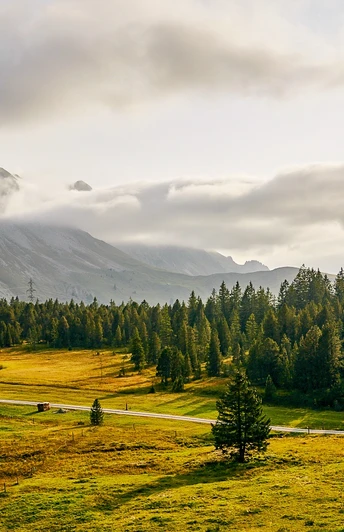 Der Wanderweg vorbei am Türndlimoos
