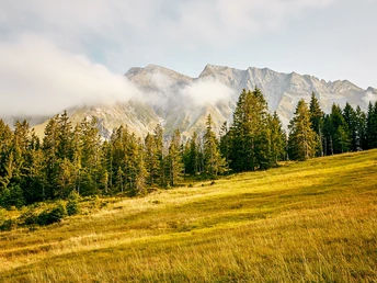 Herbstliches Moor im Gebiet Rossweid