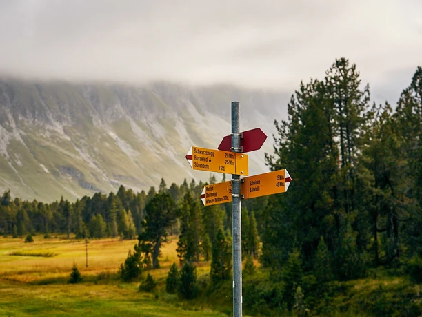 Beim Türndlimoos führt der Weg weiter Richtung Blattenegg
