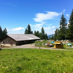 Feuerstelle Metzghütte