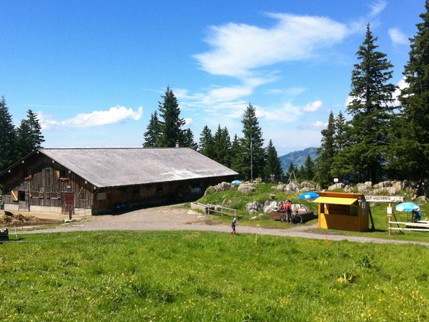 Feuerstelle Metzghütte