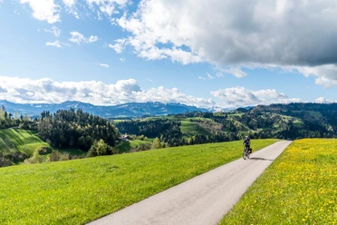 Panoramareiche Velostrecke auf den Menzberg