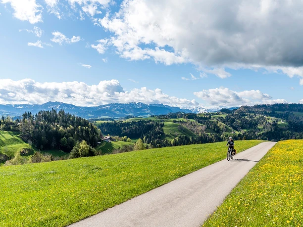 Panoramareiche Velostrecke auf den Menzberg