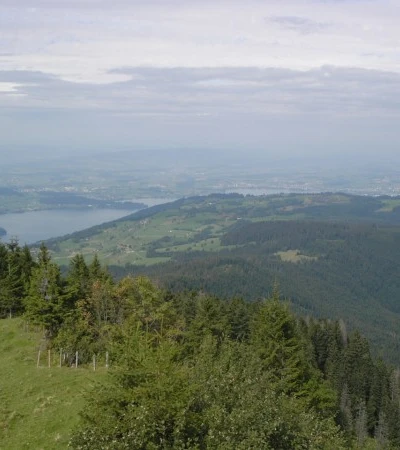 Aussicht bis auf den Ägerisee
