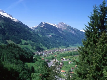 Blick nach Muotathal