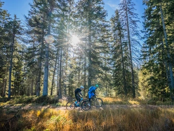 Auf dem alten Schwyzerweg Richtung Oberiberg